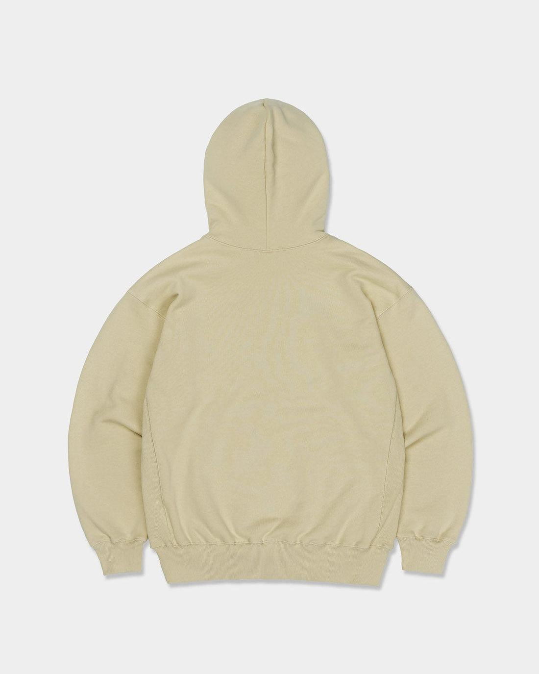 HAE DMT HOODIE DESERT